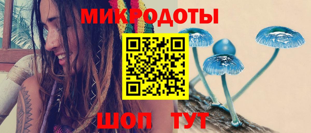 Галлюциногенные грибы Psilocybe  купить  сайты  Североуральск  Вход с VPN 